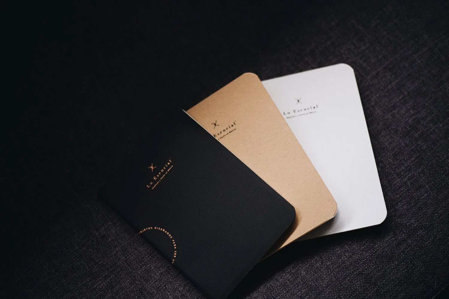 Passport Notebooks