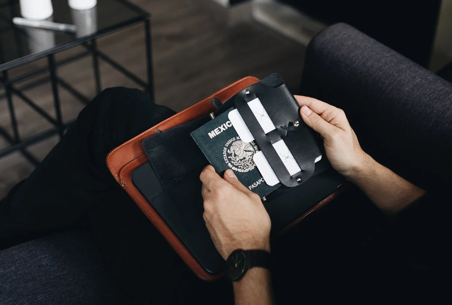 Passport Wallet II