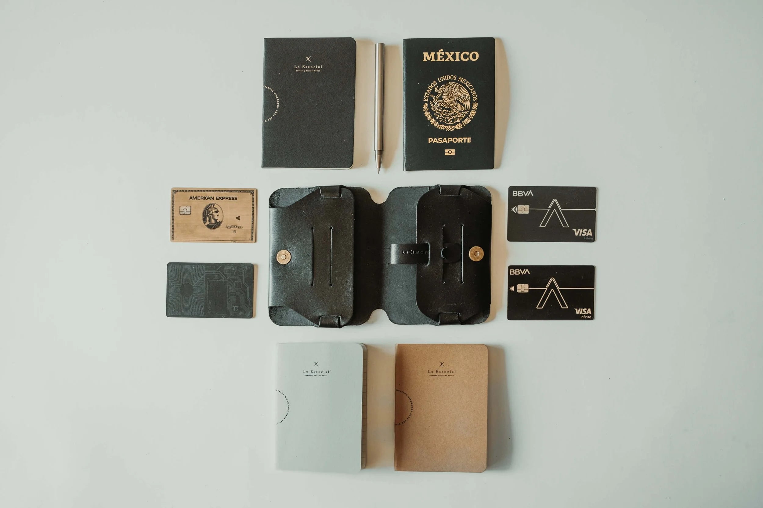 Passport Wallet+