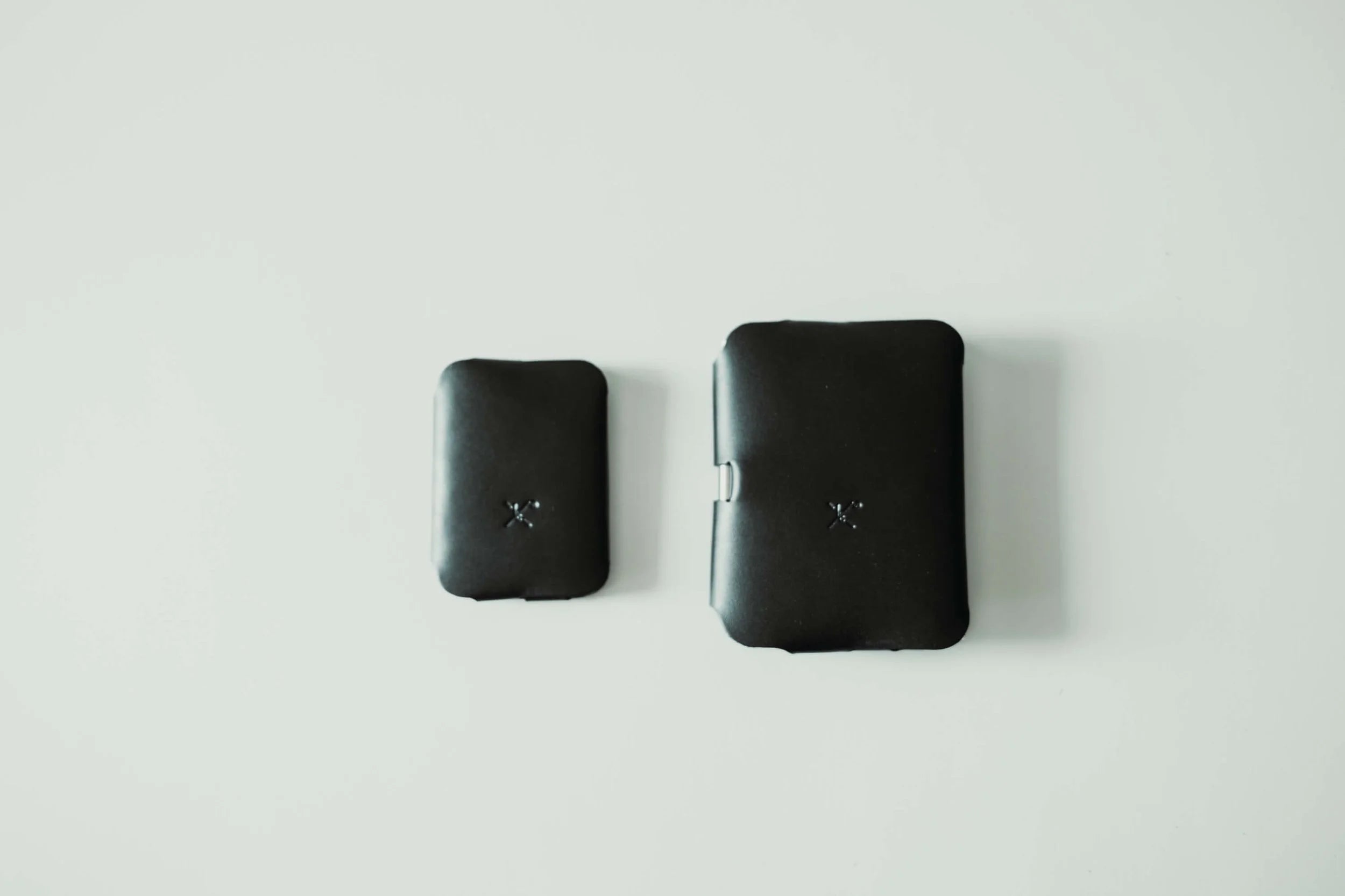 Passport Wallet+