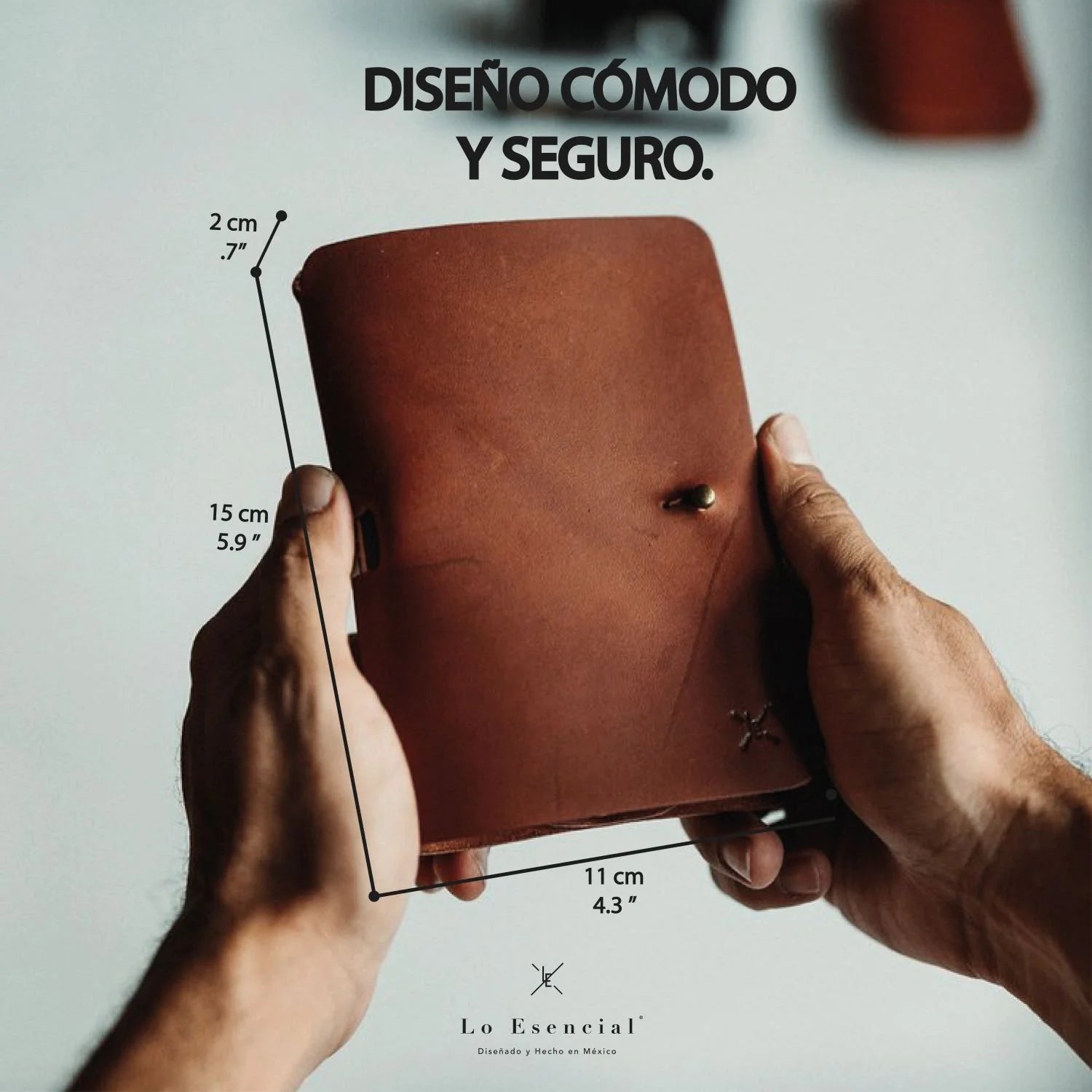 Passport Wallet II