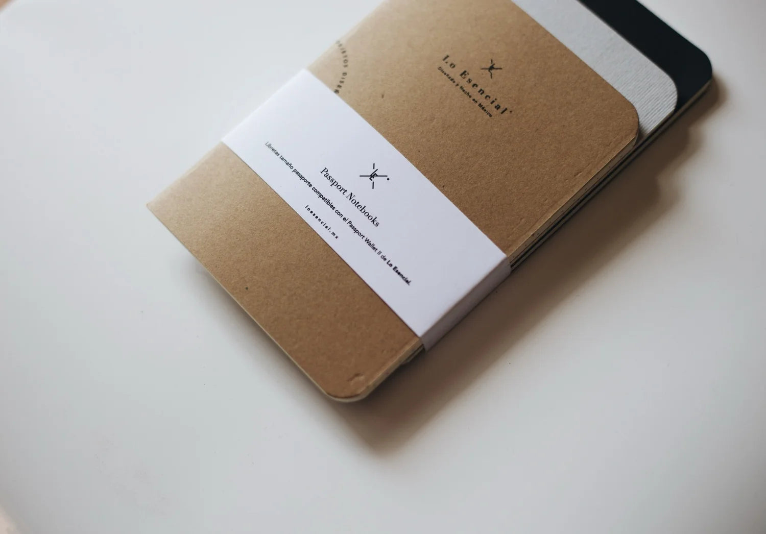 Passport Notebooks