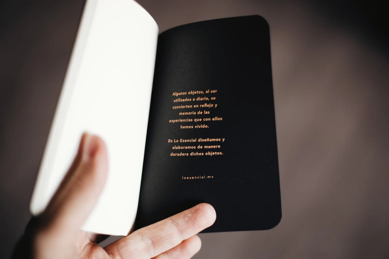 Passport Notebooks