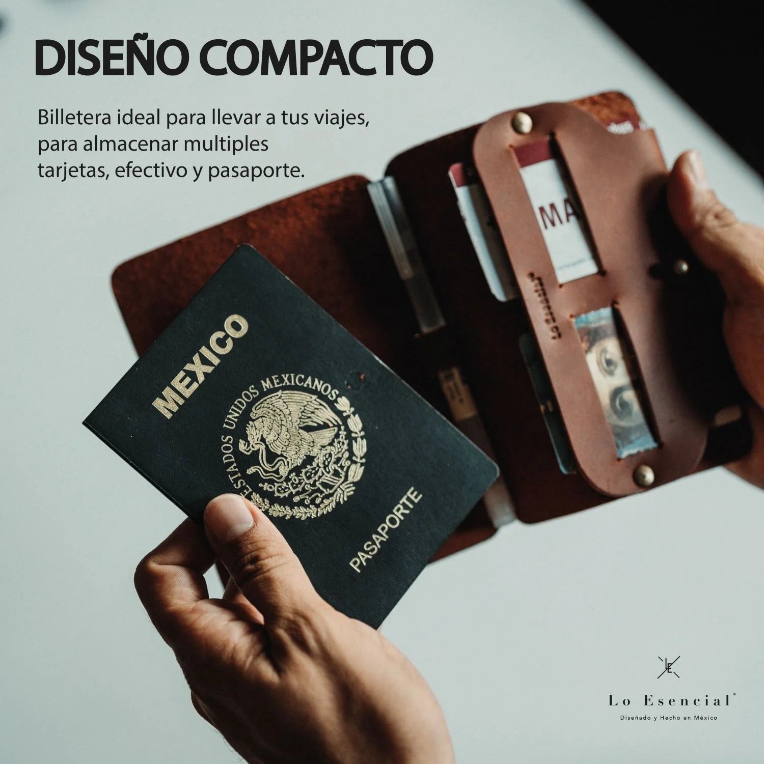 Passport Wallet II